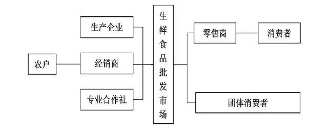 图片的名字