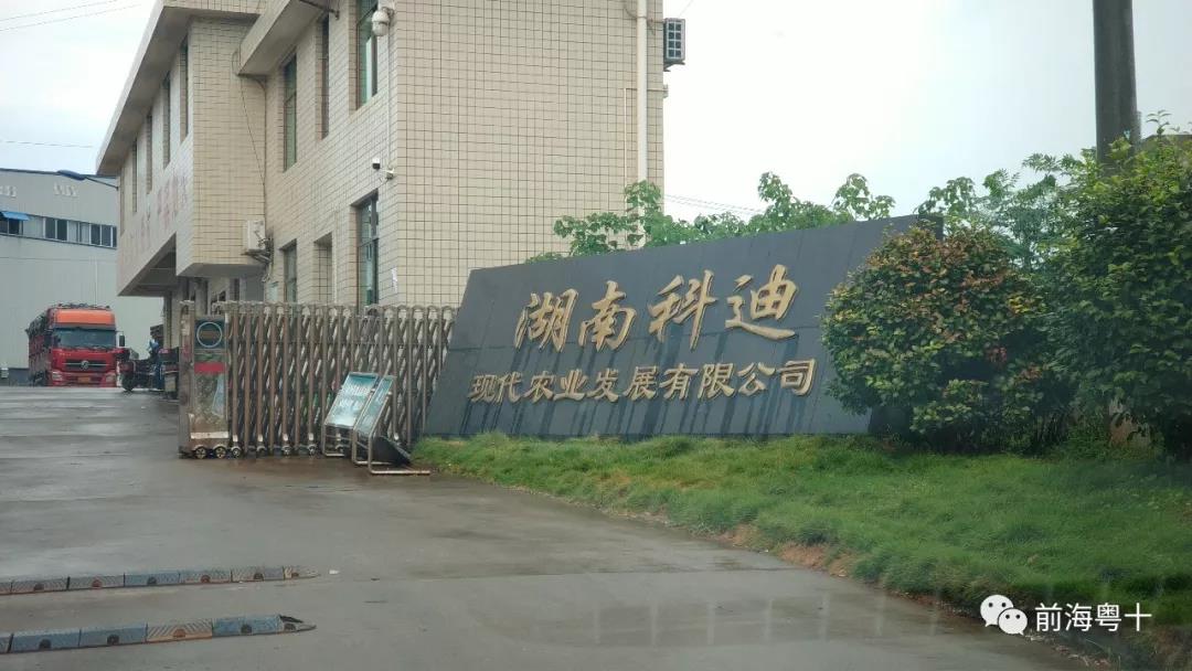 前海粤十签约湖南科迪 ,助力科迪冷库人工智能技术优势